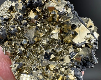 Octahedral Pyrite with Galena and Sphalerite: Huanzala Mine, Peru
