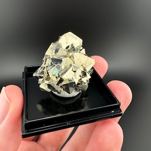 AAA Octahedral Pyrite Cluster: Huanzala Mine, Peru