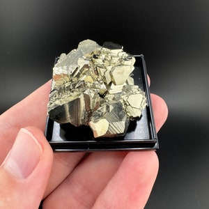 AAA Octahedral Pyrite Cluster: Huanzala Mine, Peru
