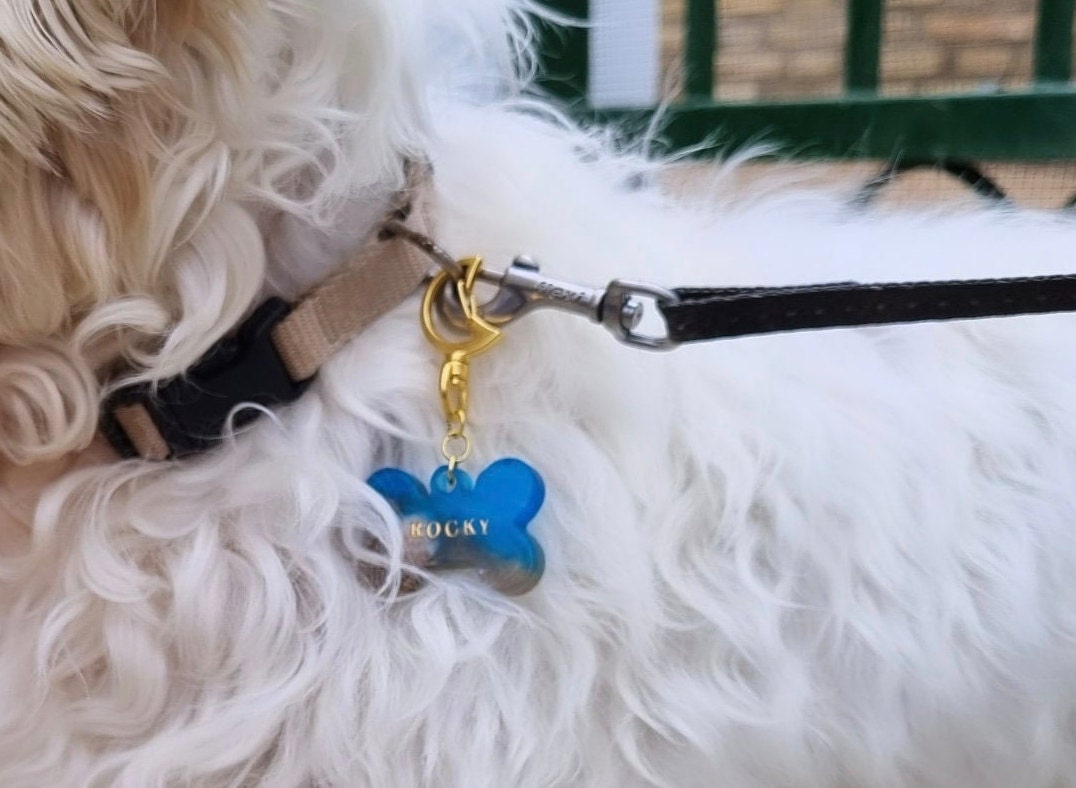 does-petco-have-a-dog-tag-machine