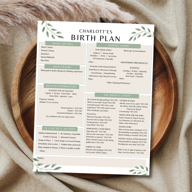 Birth Plan Template A Printable Birth Guide for a Smooth Labor and Delivery Greenery Theme