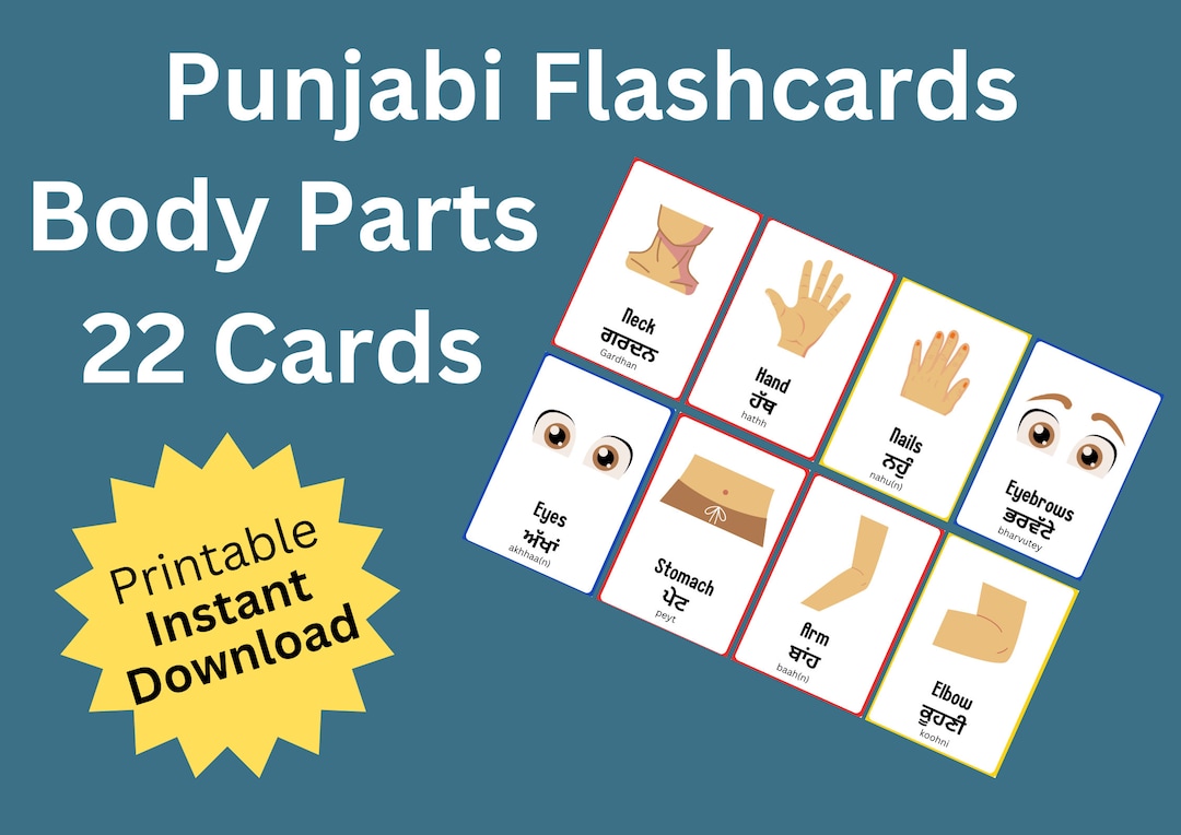 Punjabi Flashcards Body Parts Educational Flashcards Printable Digital Download Product Etsy