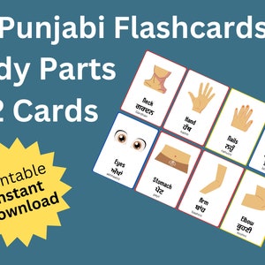 Punjabi Flashcards - body parts! Educational Flashcards - Printable Digital Download Product