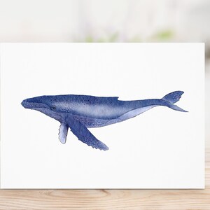 Humpback Whale Note Card With Envelope - 5x7 - Ocean / Sea Life - Blank Greeting Cards - Coastal