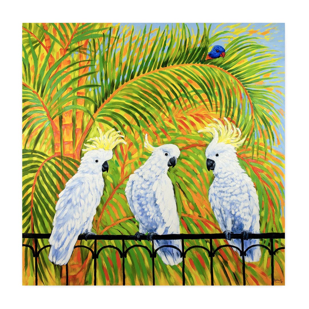 Sulphur-crested Cockatoo and Rainbow Lorikeet – Premium Paper Print ...