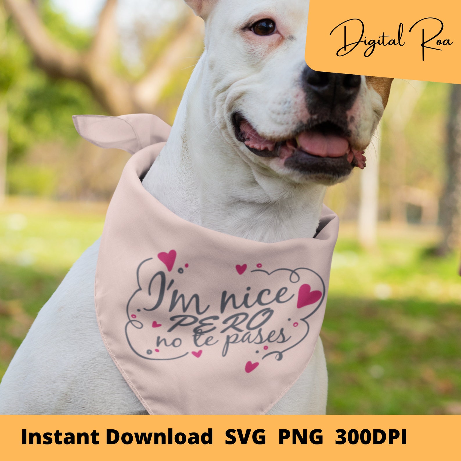 Im Nice Pero No Te Pases Clipart PNG SVG Instant Download - Etsy Singapore