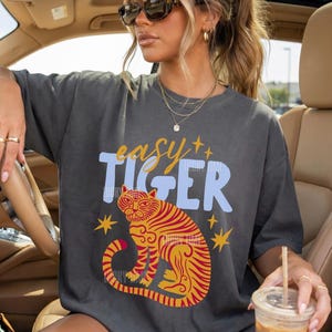 May include: Dark gray t-shirt with the text "easy TIGER" in blue and yellow. The shirt features a stylized tiger illustration in red and yellow. The shirt is a casual, oversized fit.