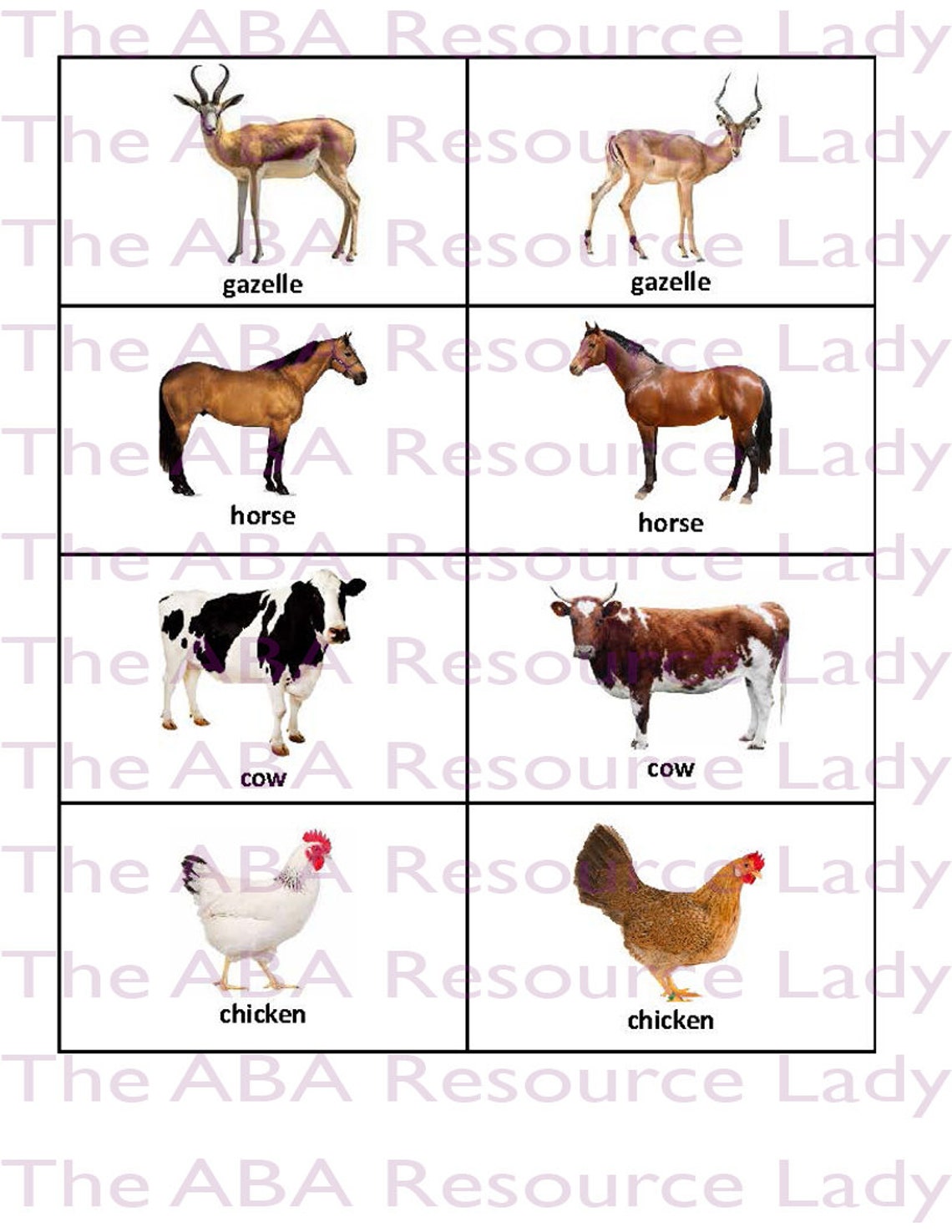 150+ Animal Flash Cards! - Etsy
