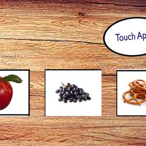 VB-MAPP Appendix List Flash Card Bundle! 1000+ Pictures - Etsy