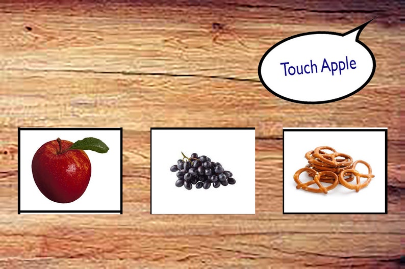 VB-MAPP Appendix List Flash Card Bundle! 1000+ Pictures - Etsy