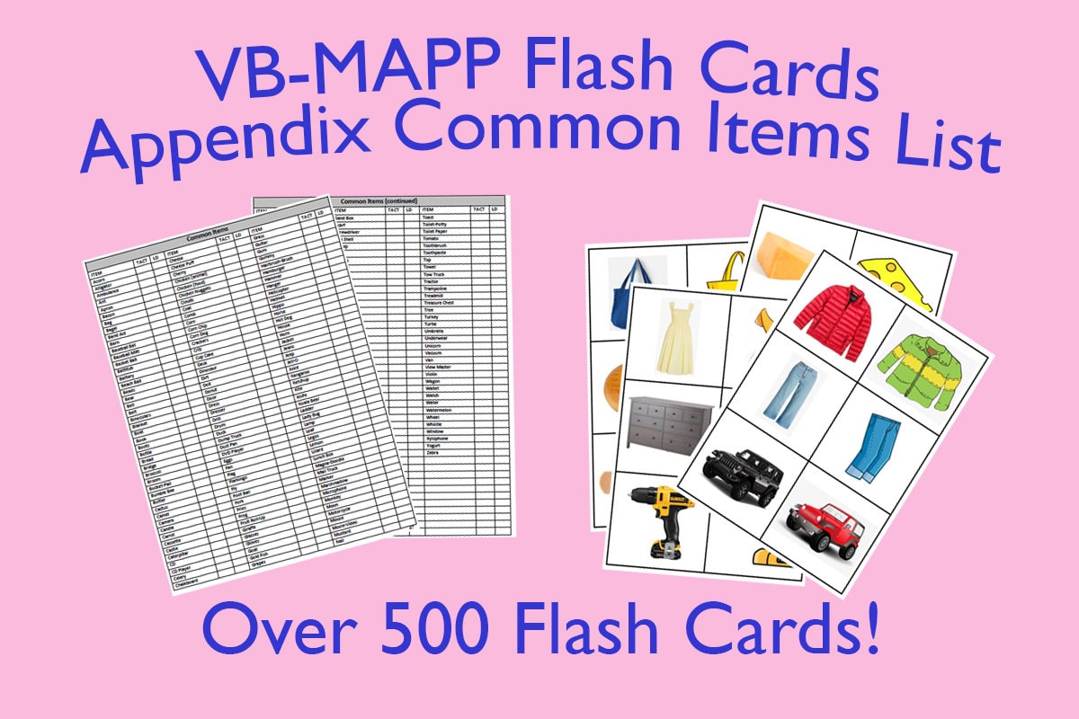 500 VBMAPP Flash Cards Common Items List Etsy