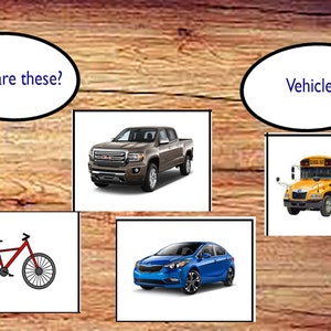 VB-MAPP Appendix List Flash Card Bundle! 1000+ Pictures - Etsy