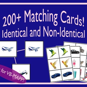 Oltre 200 carte abbinate! - Stimoli VB-MAPP identici e non identici