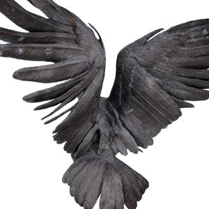 Signed Jules Moigniez Patinated Bronze Eagle Sculpture, Reproduction