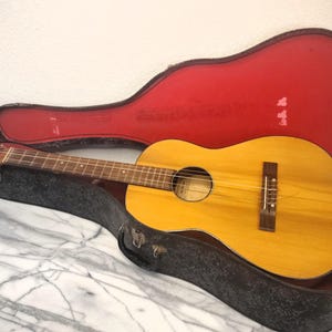 May include: Acoustic guitar with a light brown wooden body and a dark brown neck, resting in a black case with a red interior. The guitar has six strings and a sound hole. The case is open, displaying the instrument.