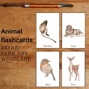 Animal flashcards, preschool activity, homeschool activity, Montessori learning, nature learning activity, kids printable, flashcards