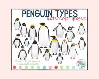 Penguin Types Watercolor Clipart