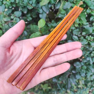May include: Four wooden chopsticks with a gradient color scheme, transitioning from a dark reddish-brown to a lighter orange-brown. The chopsticks are held in a hand against a backdrop of green foliage.