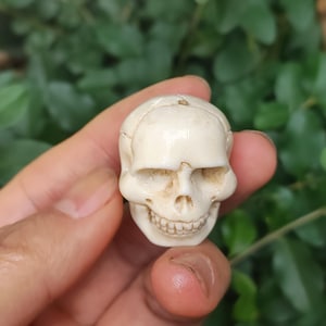 May include: A small, white, carved skull made of bone. The skull has a detailed face with a toothy grin.