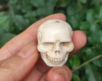 May include: A small, white, carved skull made of bone. The skull has a detailed face with a toothy grin.