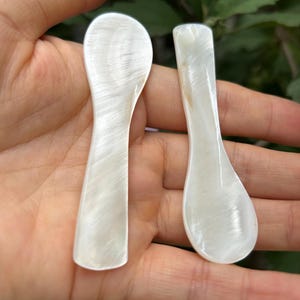 May include: Two small, pearlescent white spoons with a subtle, swirling pattern. One spoon has a rounded bowl, while the other has a more rectangular shape. The spoons are held in a hand, with a green leafy background.