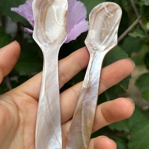 May include: Two mother-of-pearl spoons with elongated handles and oval bowls. The spoons have a pearlescent sheen with swirls of tan and white. The spoons are held in a hand, with a purple flower and green foliage in the background.