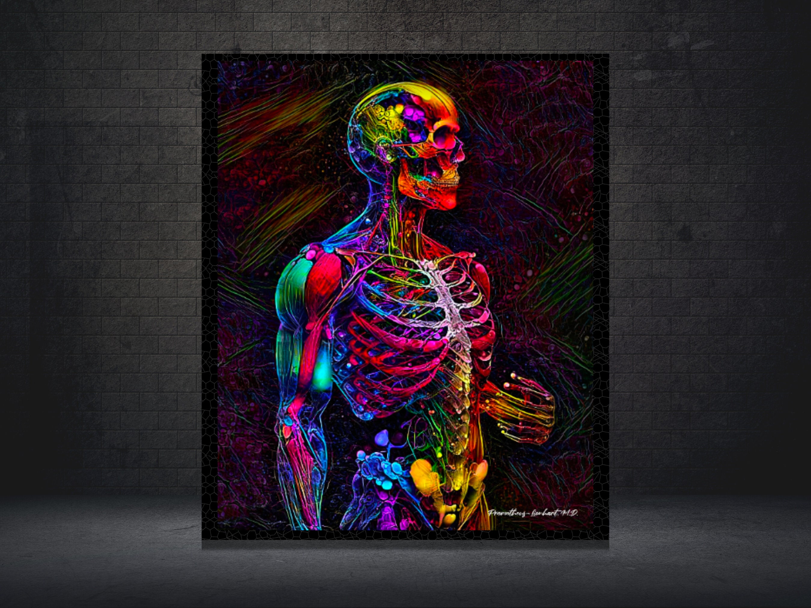 Human Anatomy in Bright Color Read to Hang Canvas Anatomy Biology Diagrams