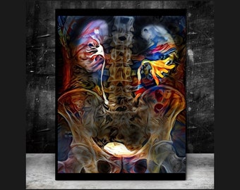 Kidney Anatomy with Drooping Lilly, Canvas,  Anatomy Radiology Urology Wall Art Science Medical Art Student Art Medicine