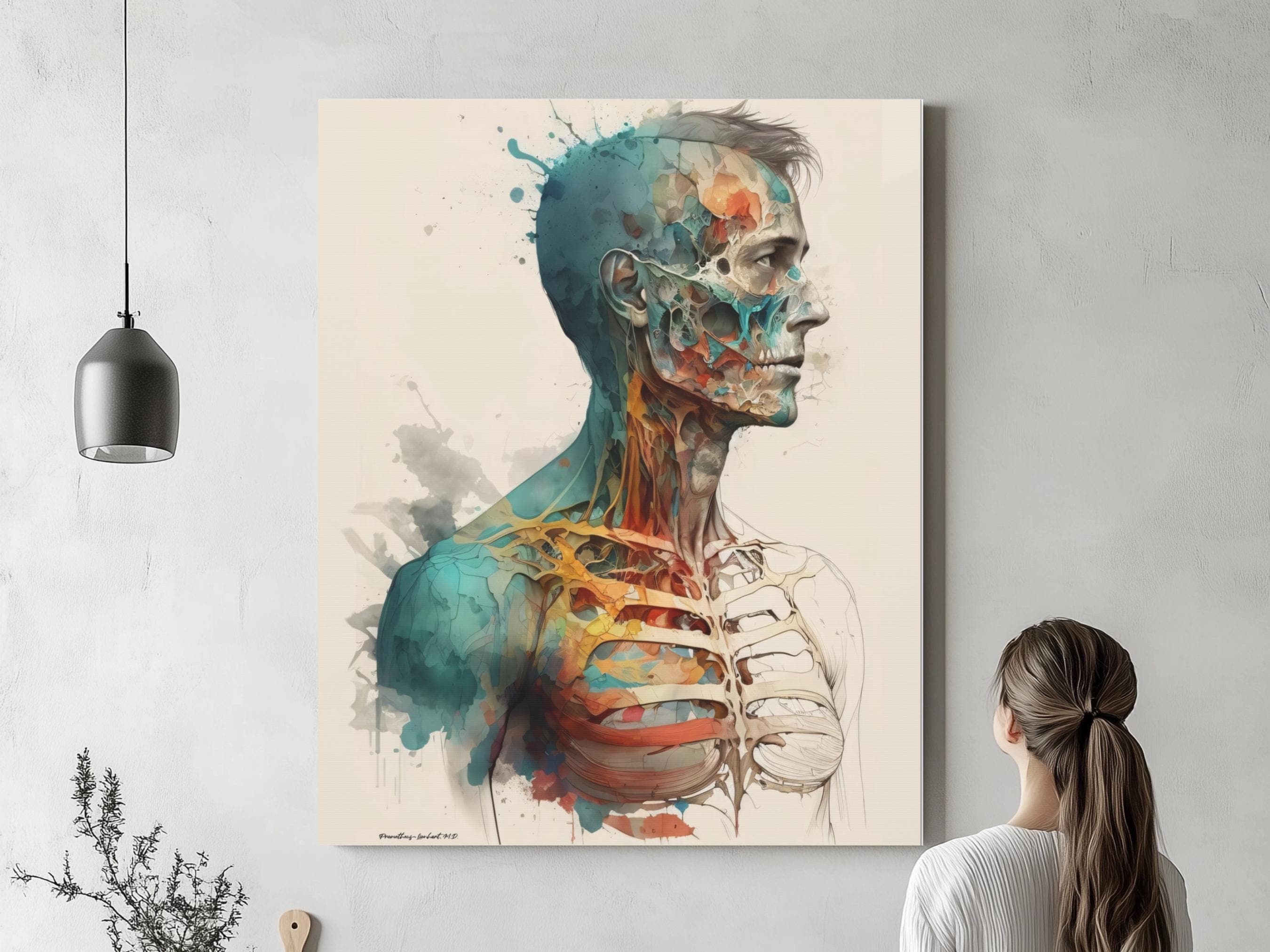 Watercolor Human Anatomy, Ready to Hang Canvas or Acrylic -  Skeleton Art, Anatomy art, Radiology Art Science Medical Student Medicine