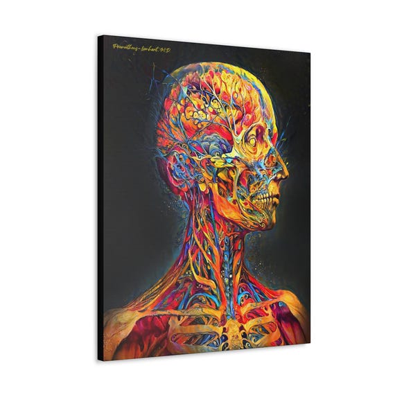 アート・デザイン・音楽 HUMAN ANATOMY FOR ARTISTS Human Anatomy for Artists: Szunyoghy, Andras, Feher, Gyorgy