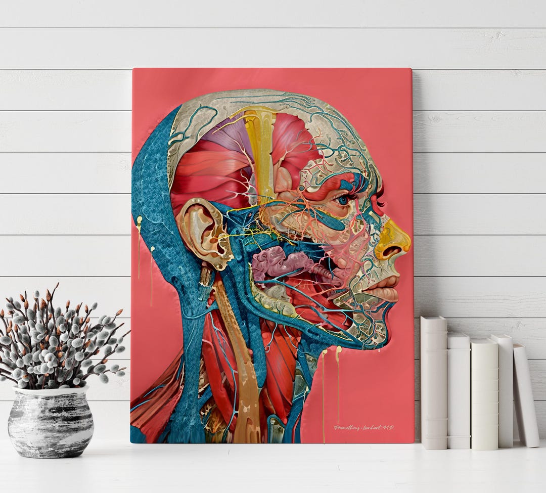 アート+エンタメ human anatomy for artists Human Anatomy for Artists: Szunyoghy, AndrÁs: 9783833162565