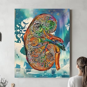Niere Anatomie in helle Farbe, fertig zum Aufhängen Leinwand, Anatomie Radiologie Wand Kunst Wissenschaft Medizinische Kunst Studenten Kunst Büro Geschenke Medizin