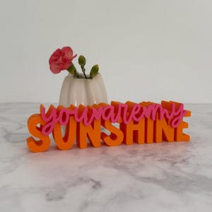 May include: An orange and pink decorative sign with the words "you are my sunshine". A small white vase with a pink flower and green leaves is behind the sign. The sign is on a marble surface.