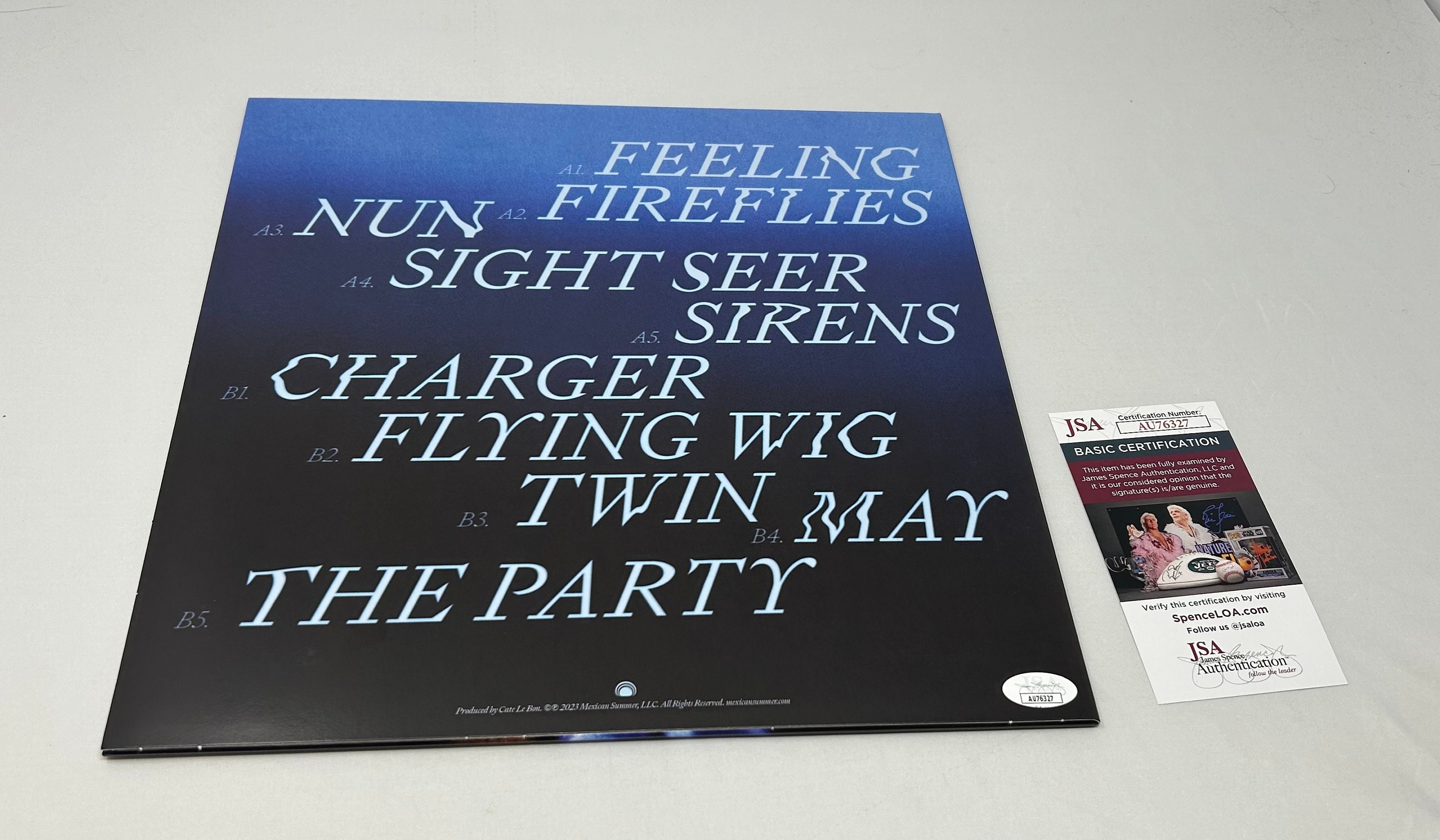 Devendra Banhart Signed Flying Wig Album JSA COA - Etsy