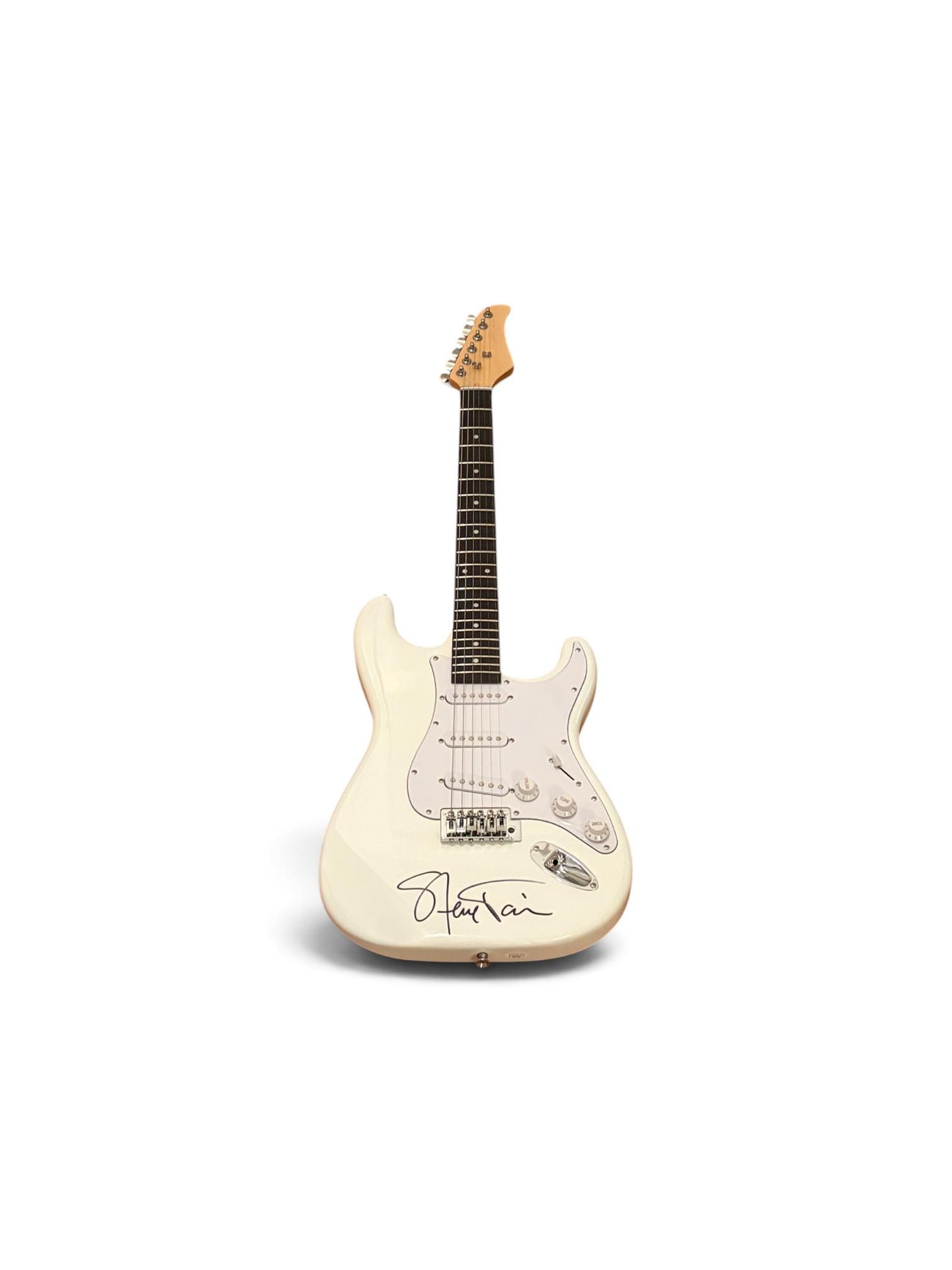 Steve vai - Etsy 日本