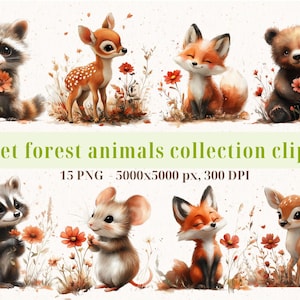 Aquarelle mignon bébé animaux des bois, cerf, ours, renard, raton laveur, collection de cliparts de souris, PNG et JPG, invitation, art mural, numérique, usage commercial