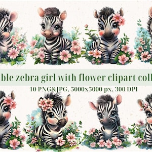 Baby Zebra with flower clipart set - watercolor, Commercial&digital Use, animal, flower love, PNG, JPG, Instant download, 300 dpi
