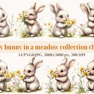Clipart babykonijn | Weidekonijn png- en jpg-set | Kunst lentehaas | Illustratie bloemen konijntje | 14 schattige konijntjesafbeeldingen | 5000 x 5000 px