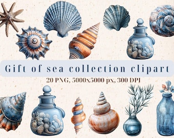 Nautical Seashell Clipart Set – Ocean Graphics, Coastal PNGs (Digital Download)