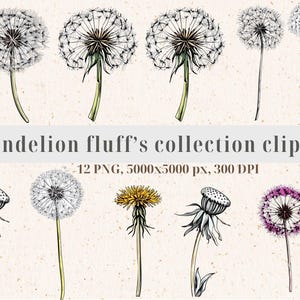Whimsical Dandelion Clipart Set | 12 PNG Files | Hand-Drawn Botanical Art | High-Res 5000x5000 px | Perfect for DIY Projects,Dandelion Fluff