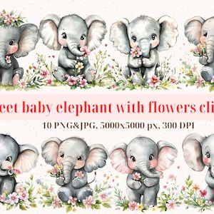 Baby Elefant Clipart Bundle, Aquarell Blumen Elefant PNG | Niedliche Tierkunst fürs Kinderzimmer | Babyparty Dekor | 5000x5000px | Digitaler Download