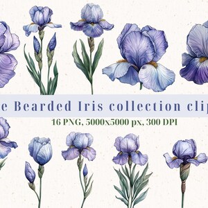 May include: A collection of 16 watercolour illustrations of blue bearded iris flowers. The flowers are depicted in various stages of bloom, with some showing the full flower and others showing only the bud. The illustrations are set against a white background.