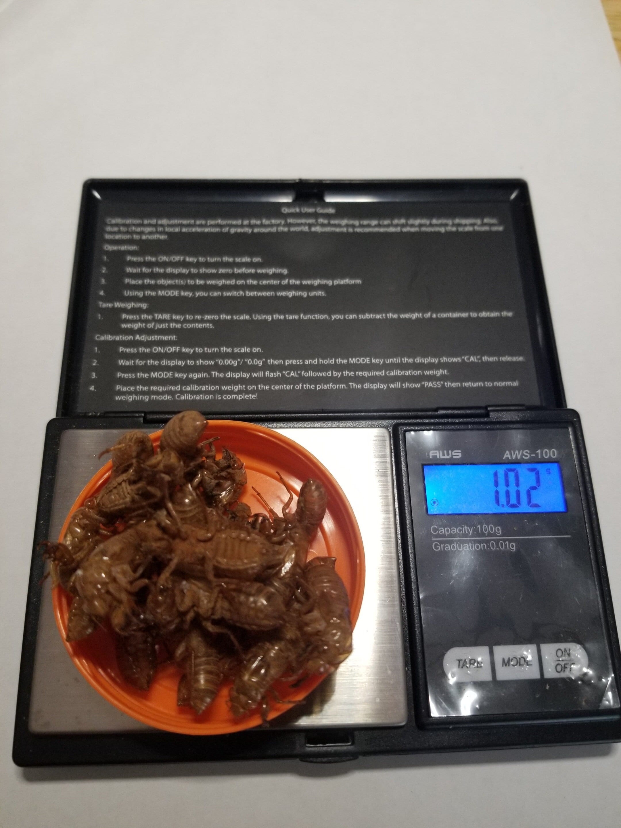 1 gramo de cáscaras de cigarra naturales a granel de la emergencia de cría de 2024