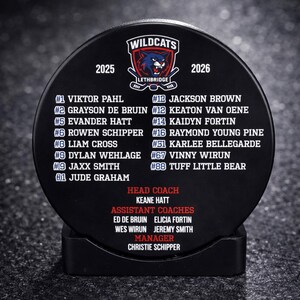 Custom Color Hockey Puck, Year End Player Coach Gift, Team Logo Sport Gift, Personalized Ice Hockey Pucks, Team Memorabilia, UV printed image 2