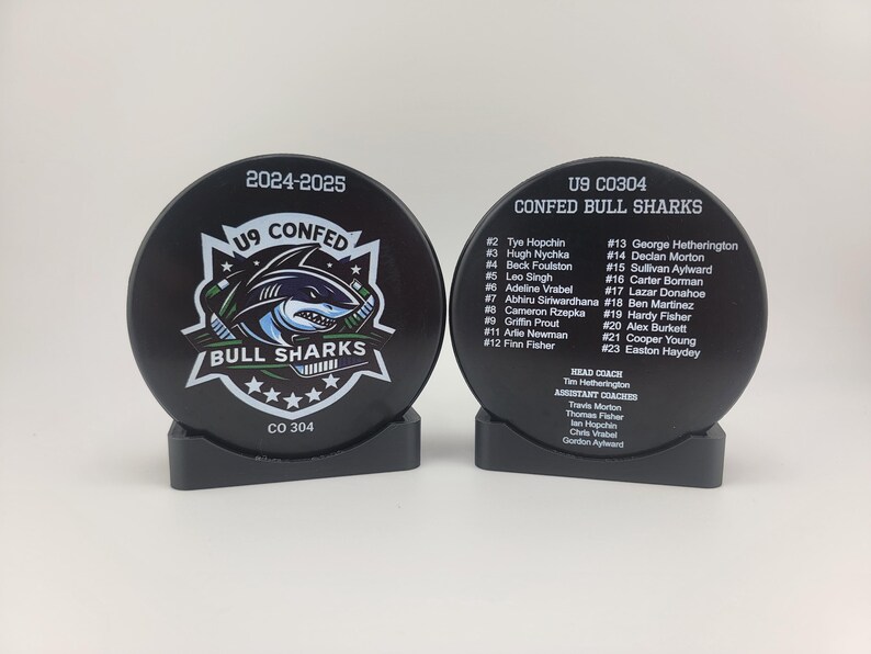 EXPRESS Custom Roster Puck, Year End Player Coach Gift, Team Logo Sport ...