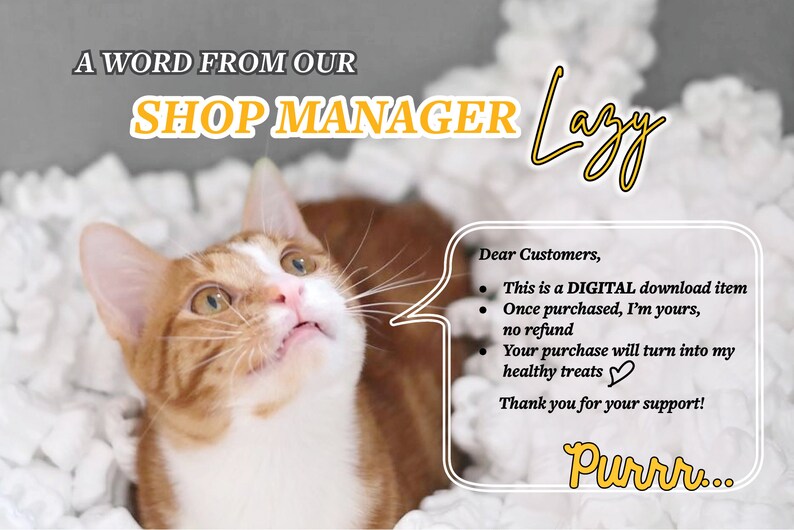 May include: A ginger and white cat with green eyes looks up at the camera. The cat is lying in a bed of white packing peanuts. A speech bubble above the cat contains text that reads: "Dear Customers, This is a DIGITAL download item. Once purchased, I'm yours, no refund. Your purchase will turn into my healthy treats. Thank you for your support! Purrr..."