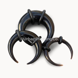 Buffalo Horn Pincher Taper with O-Rings | Handmade Taper Earrings | Natural Material Body Jewelry | Sold as Pair