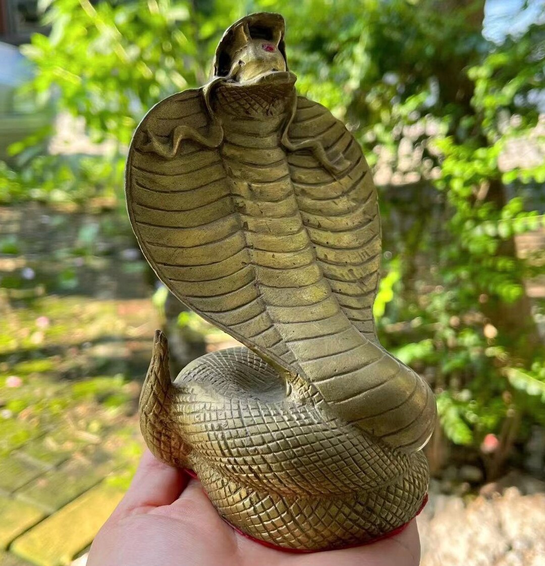 Feng Shui Snake Lucky Fortune Wealth Office Decor Housewarming