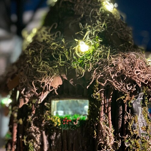 Shops Fairy Cottage Book Shop