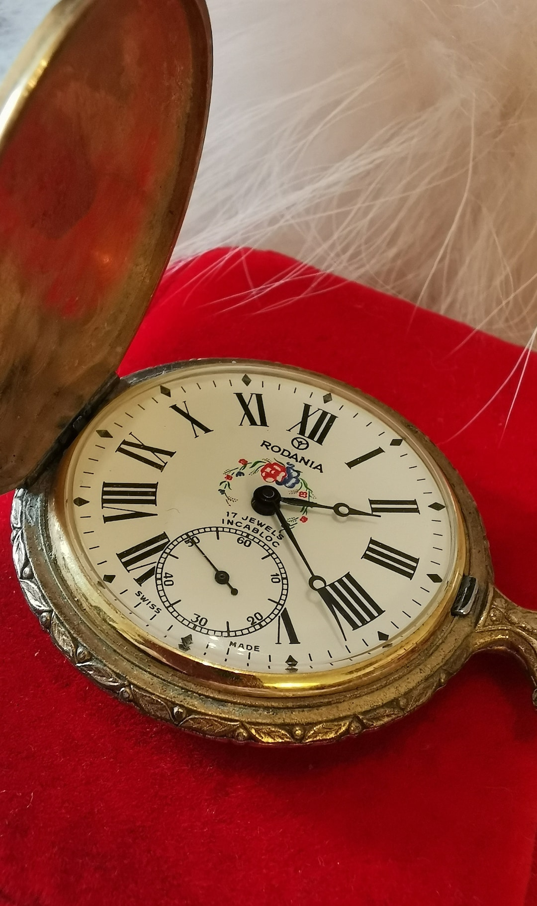Rodania swiss made deals